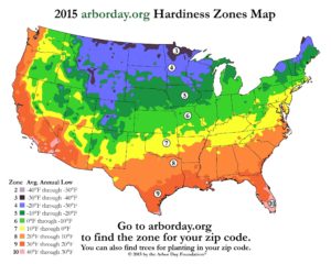 Growth Zones